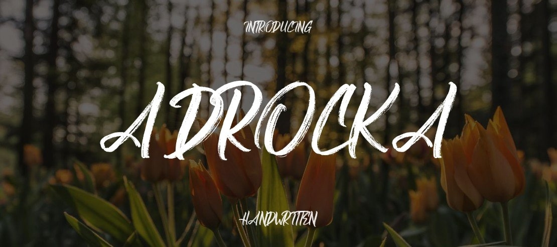 Adrocka Font