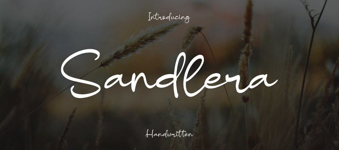 Sandlera Font