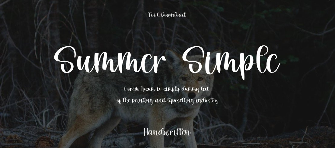 Summer Simple Font