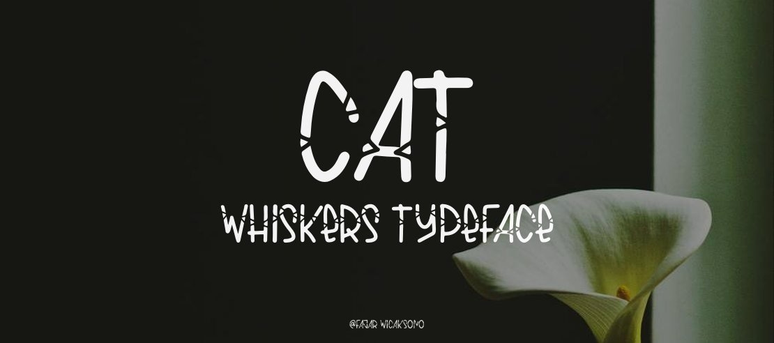 Cat Whiskers Font