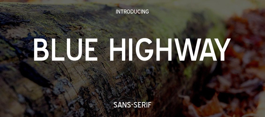 Blue Highway Font Family