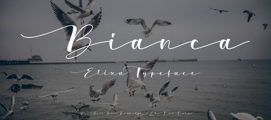 Bianca Eliza Font