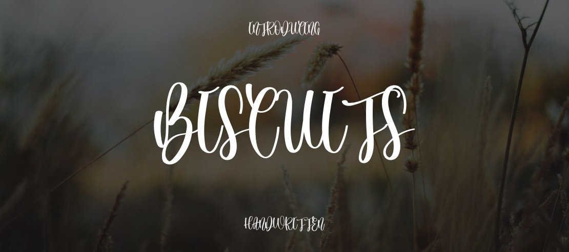 Biscuits Font