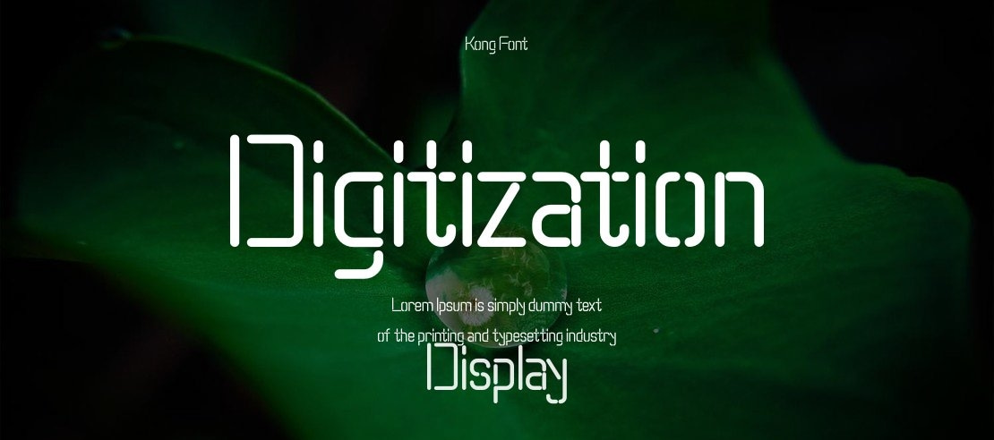 Digitization Font