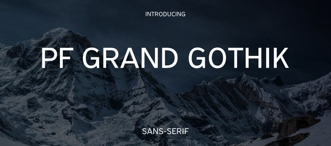 PF Grand Gothik Font Family