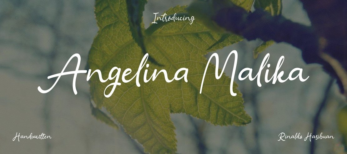 Angelina Malika Font