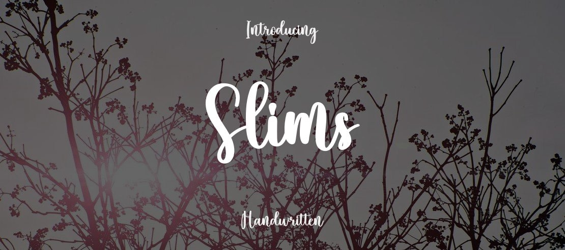 Slims Font