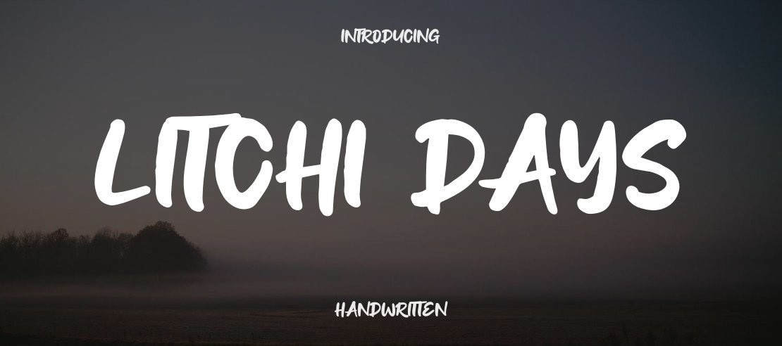 Litchi Days Font