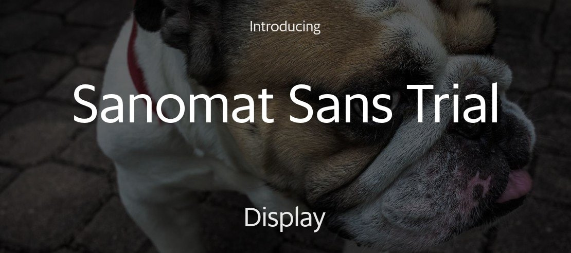 Sanomat Sans Trial Font Family