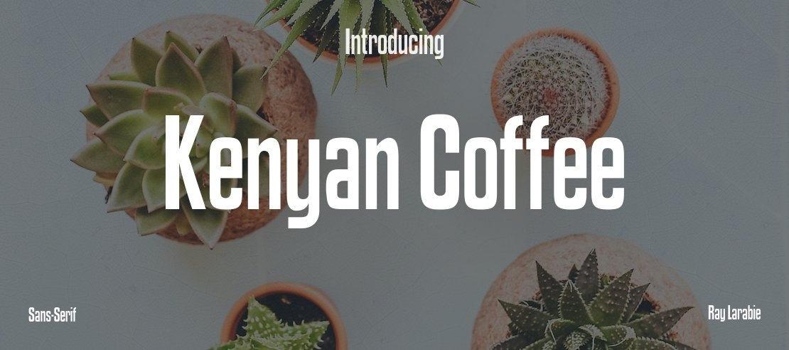 Kenyan Coffee Font Family
