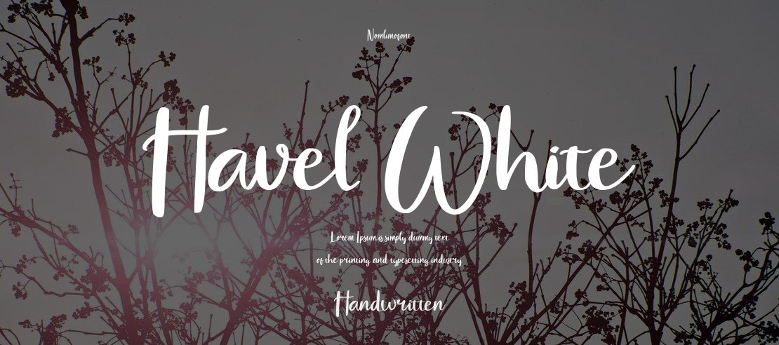 Havel White Font