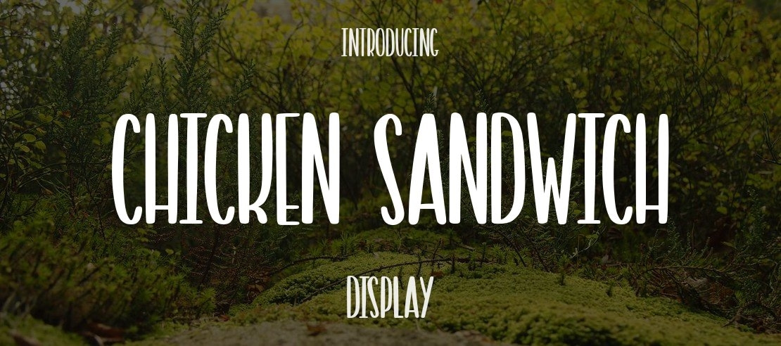 ChickeN SandWich Font