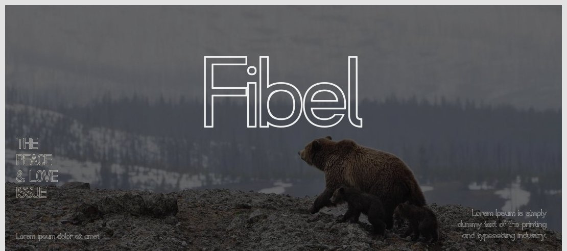 Fibel Font Family