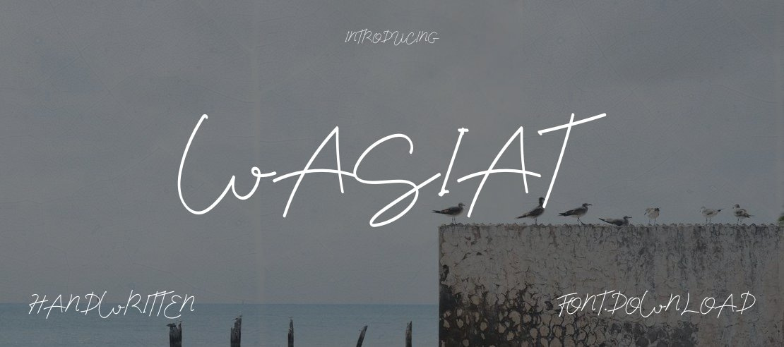 Wasiat Font