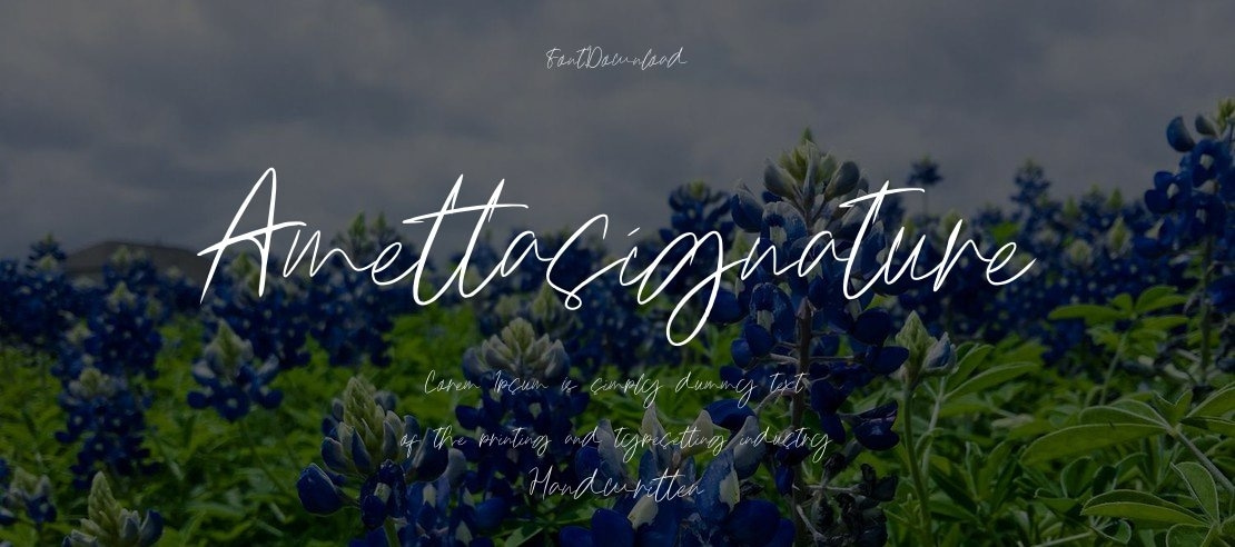 Amettasignature Font