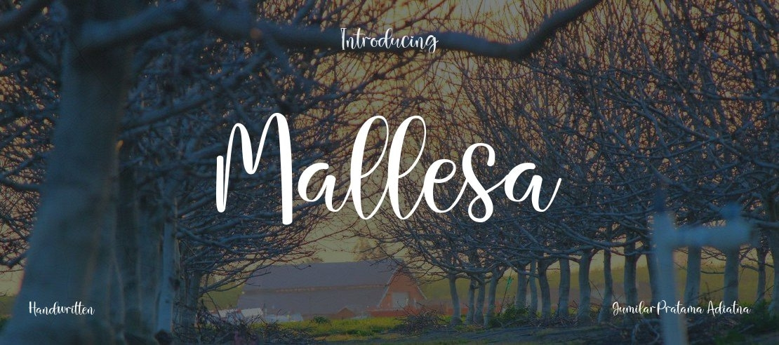Mallesa Font