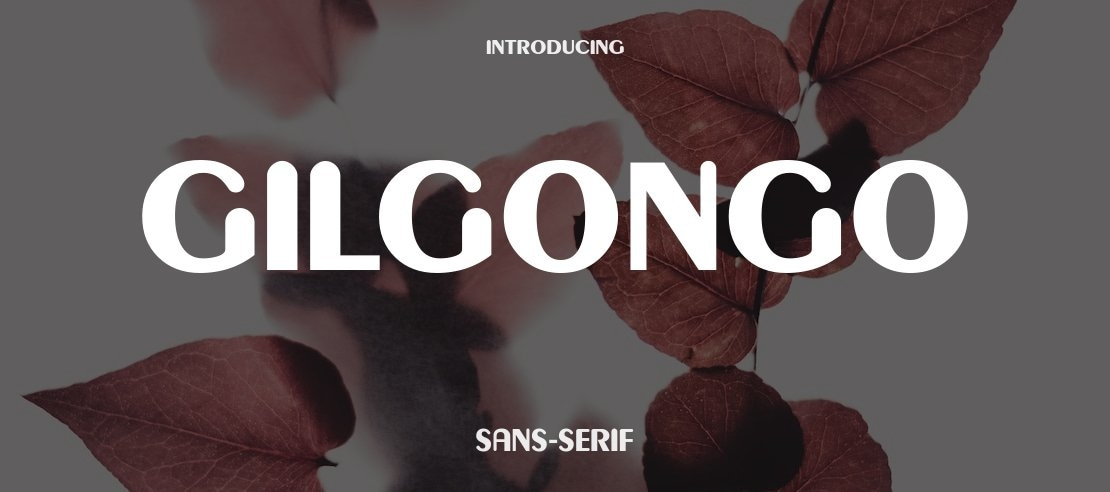 Gilgongo Font Family