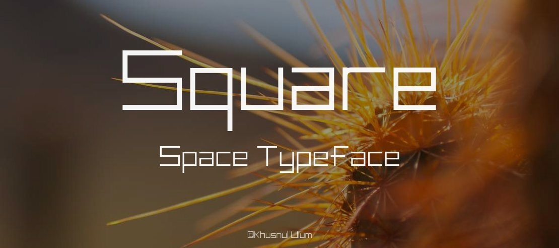Square Space Font