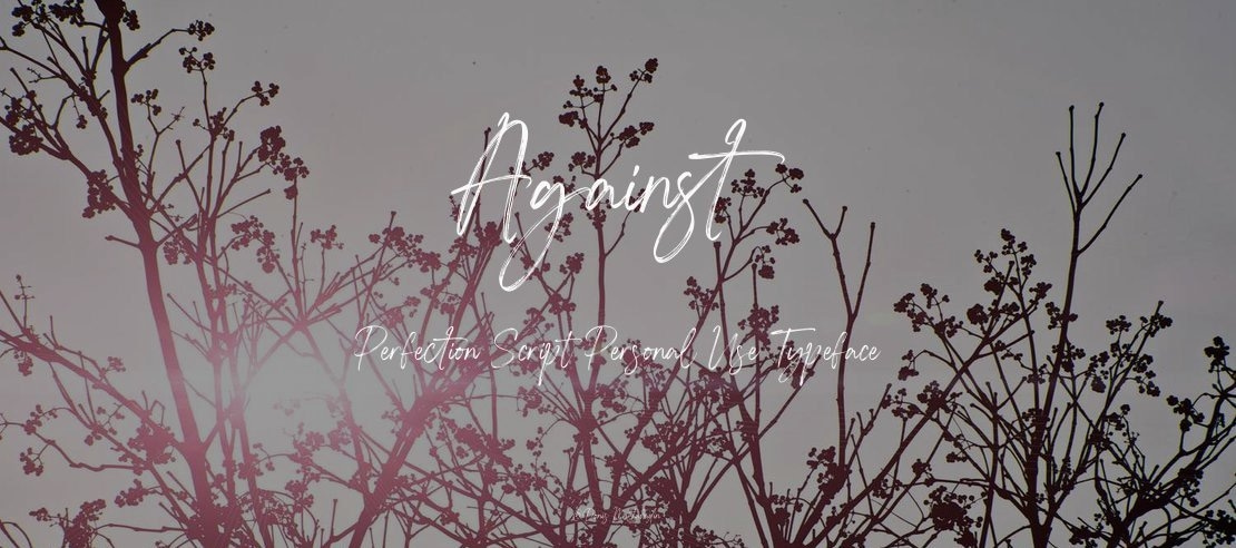 Against Perfection Script Personal Use Font