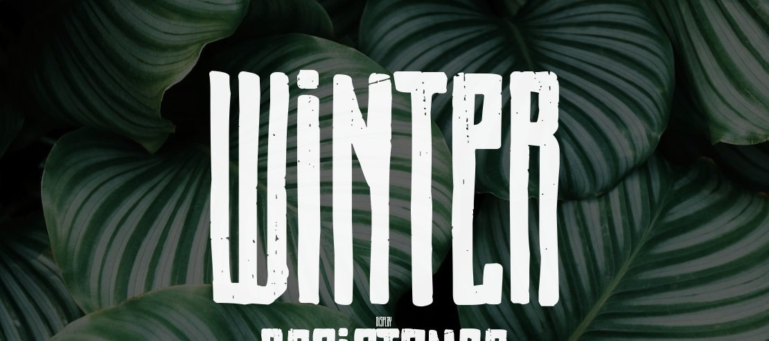 Winter Resistance Font