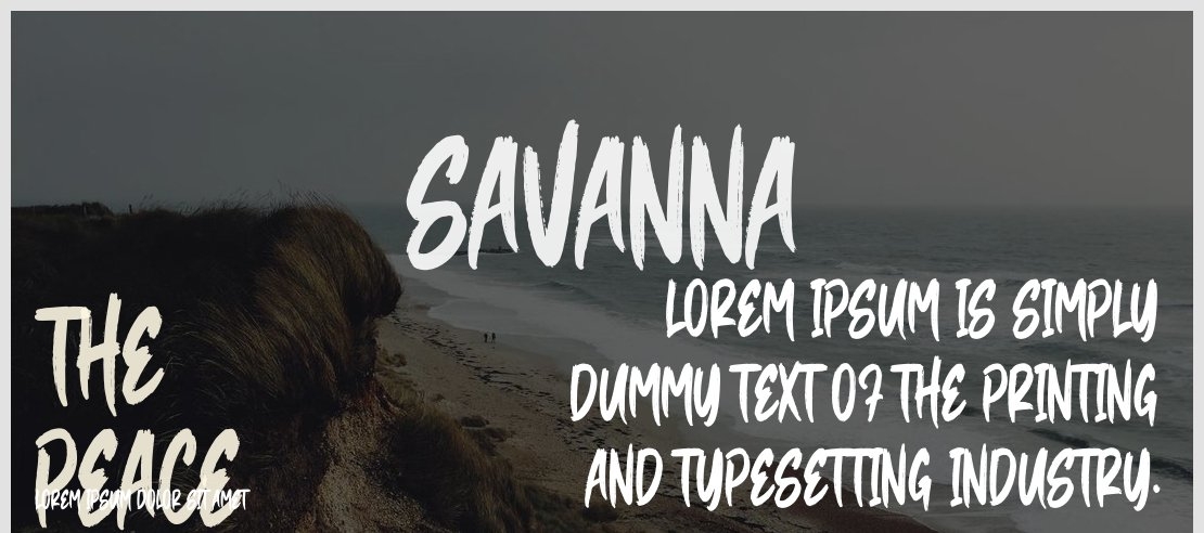 Savanna Font