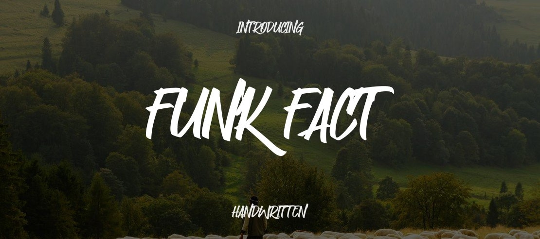 Funk Fact Font