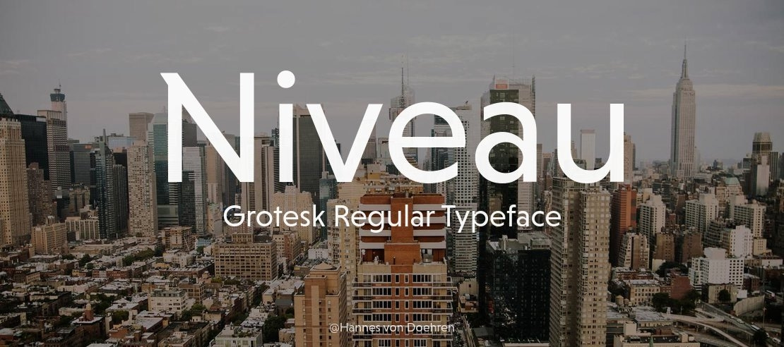 Niveau Grotesk Regular Font Family