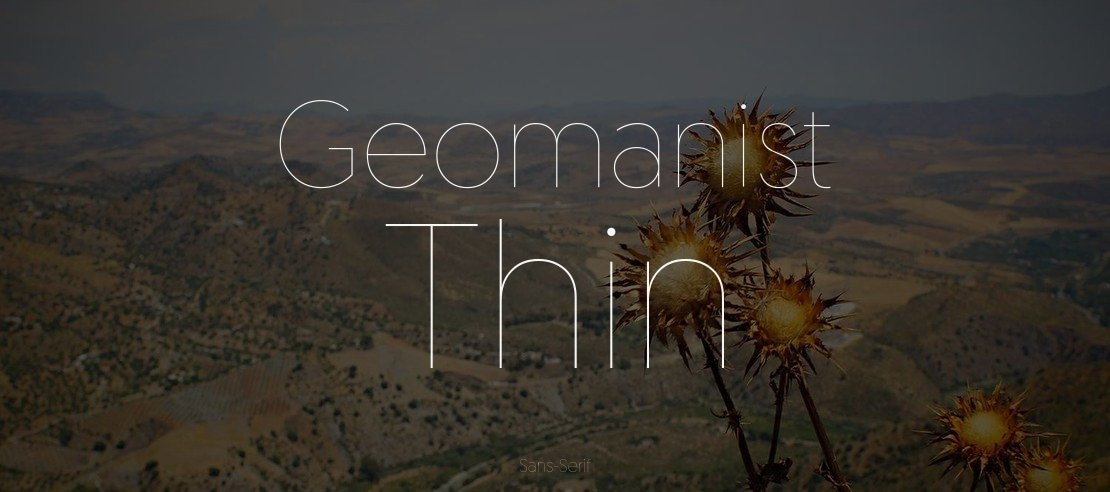 Geomanist Thin Font Family