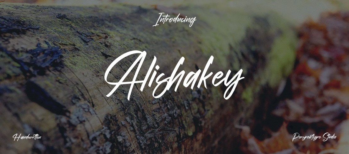 Alishakey Font Family