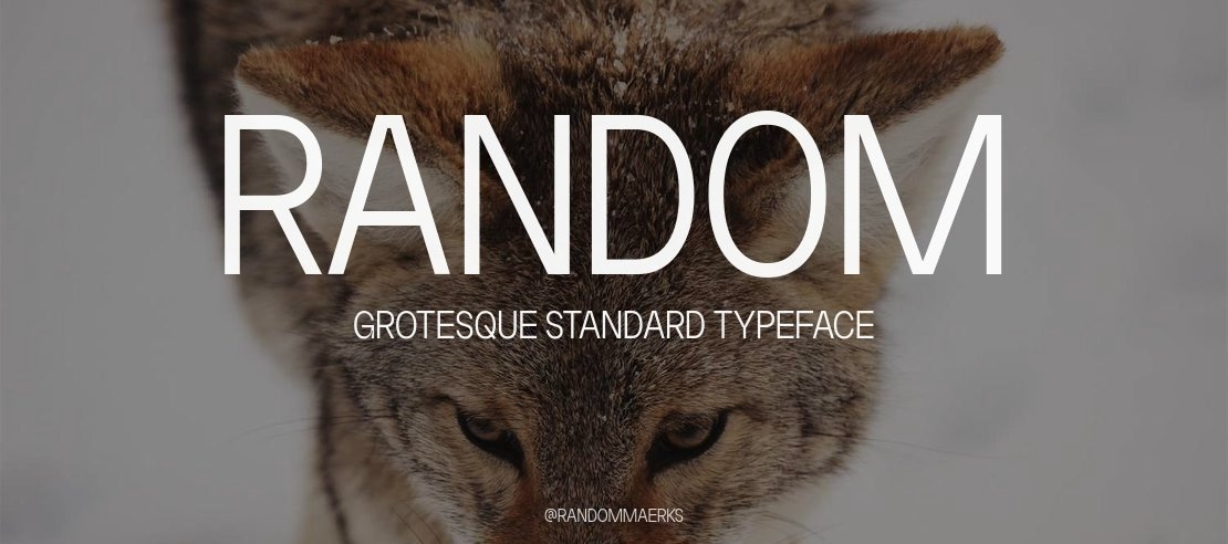 Random Grotesque Standard Font Family