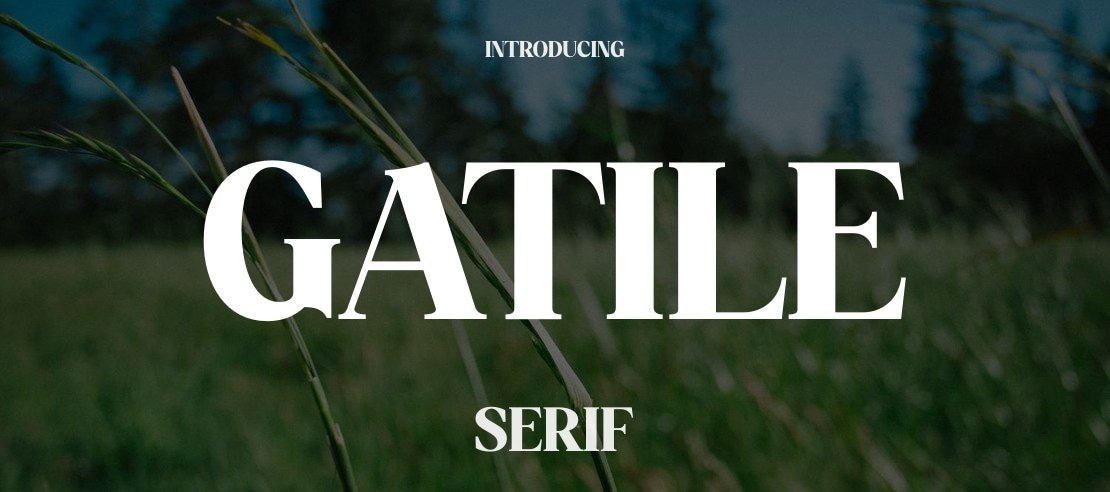 Gatile Font