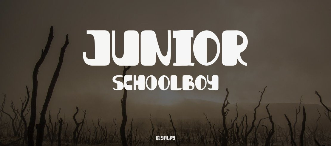 Junior Schoolboy Font