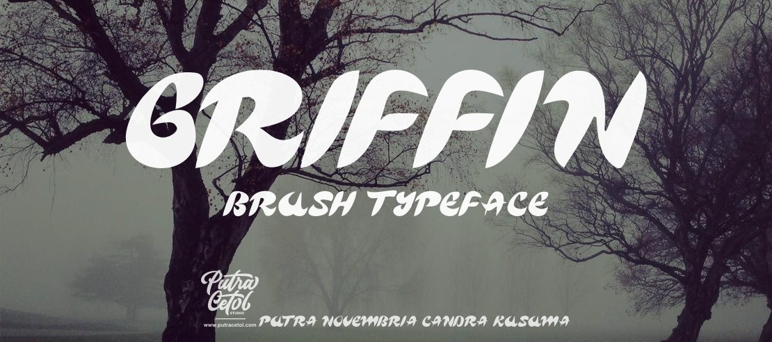 Griffin Brush Font