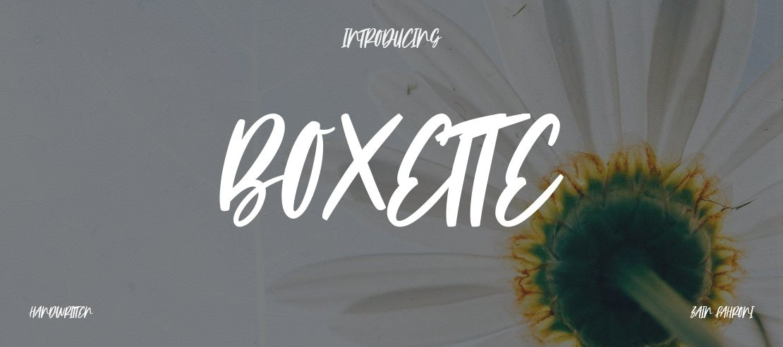 Boxette Font
