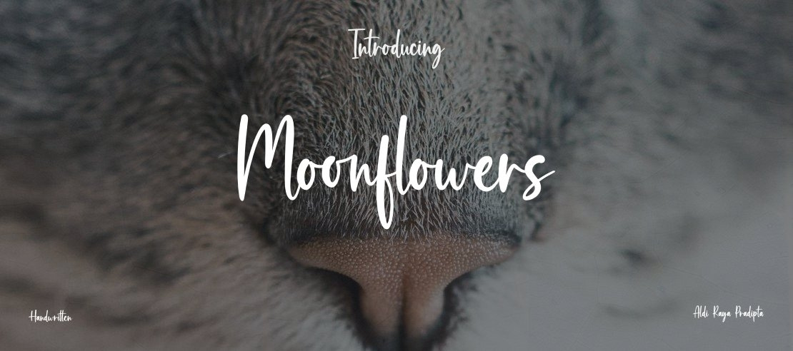 Moonflowers Font