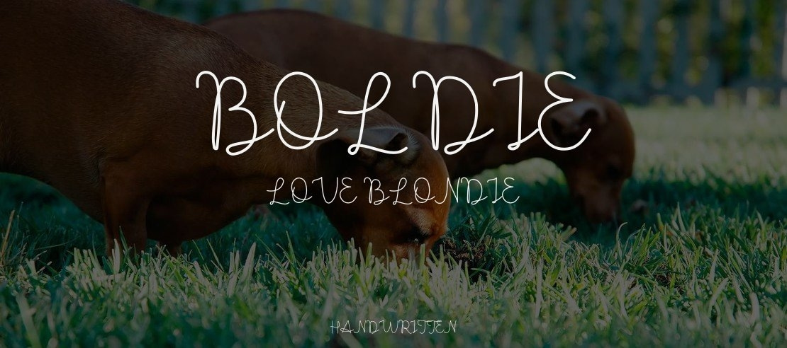 Boldie Love Blondie Font