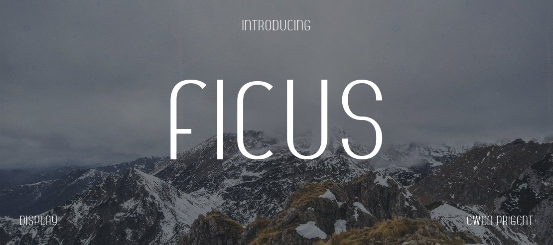 Ficus Font