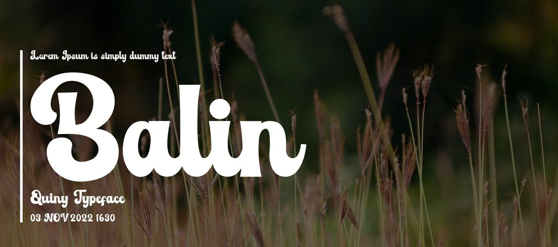 Balin Quiny Font