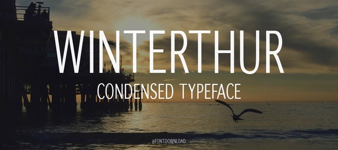 Winterthur Condensed Font Family