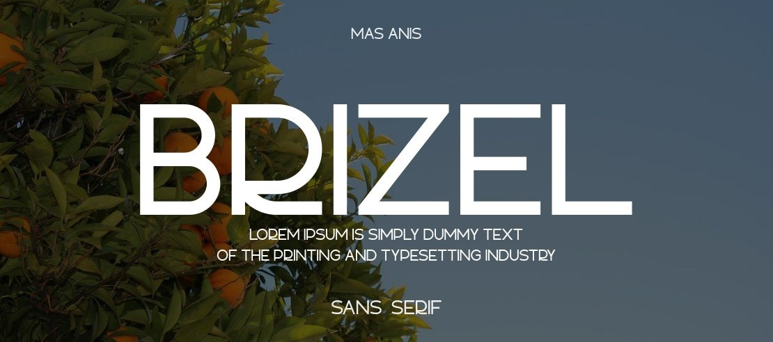 Brizel Font