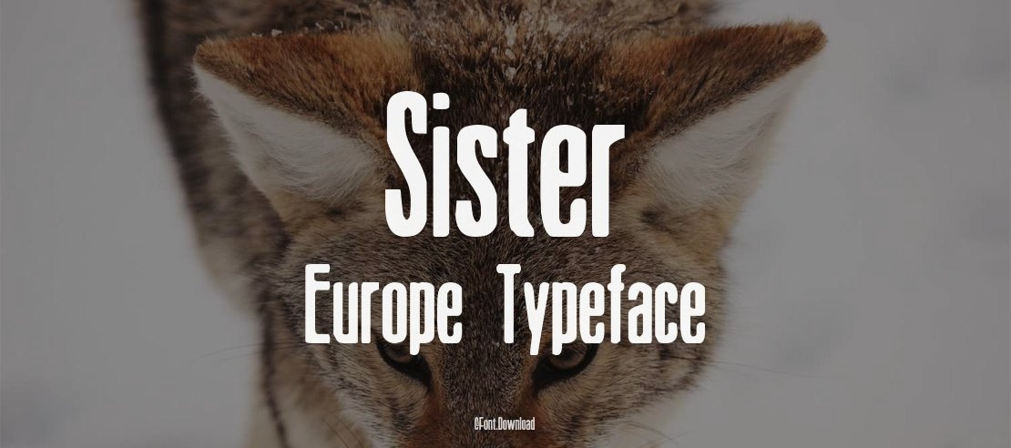 Sister Europe Font Family