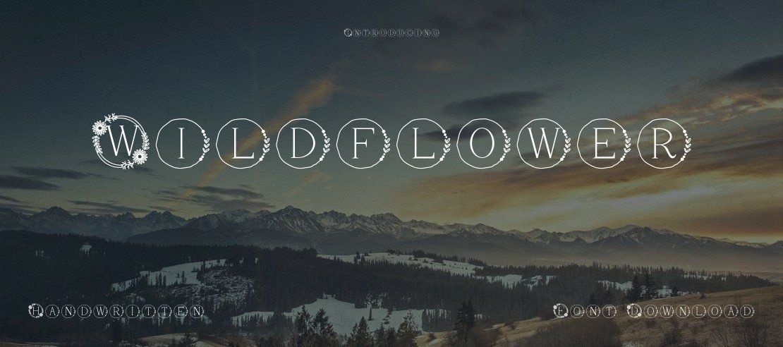 Wildflower Font