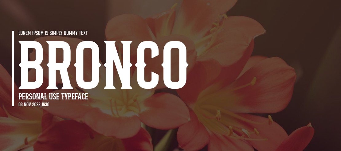 Bronco Personal Use Font