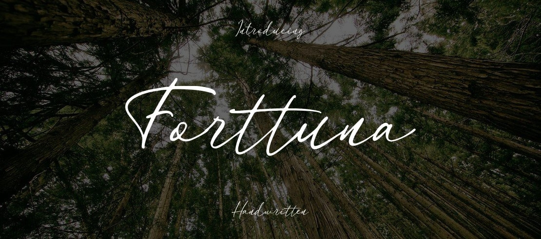 Forttuna Font