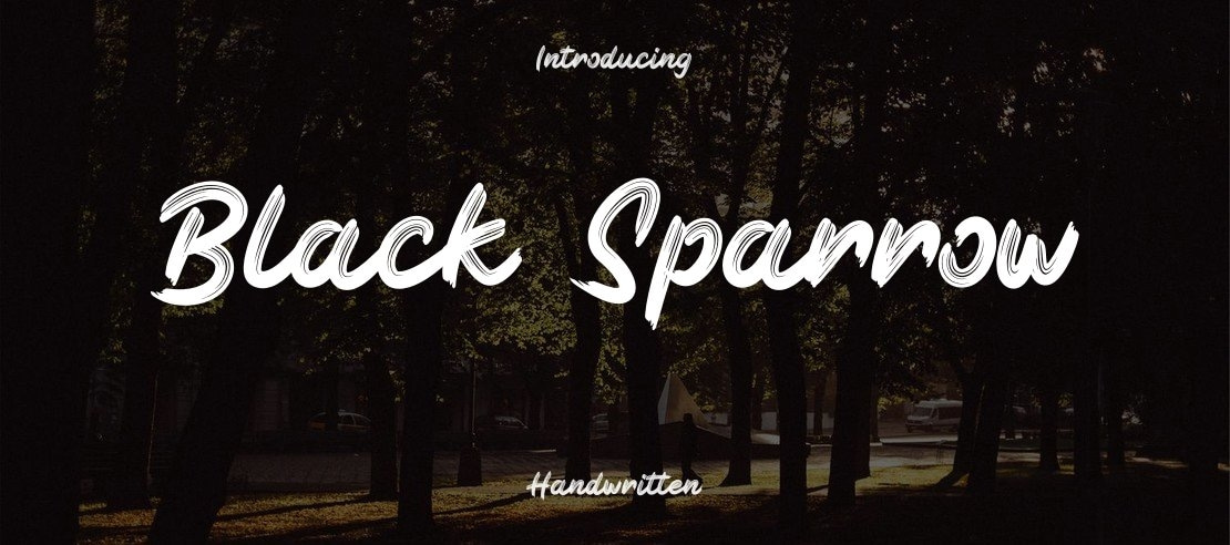 Black Sparrow Font