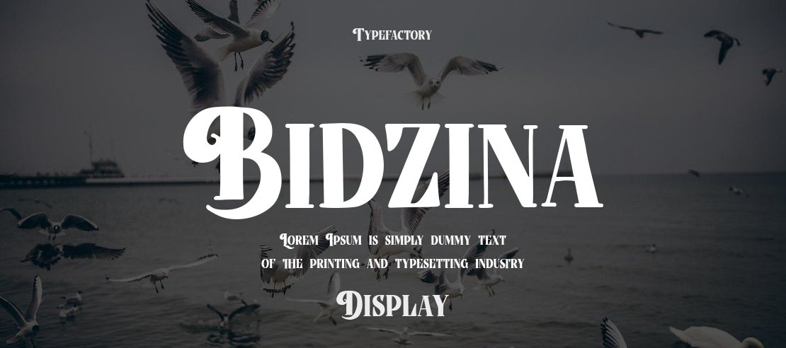 Bidzina Font