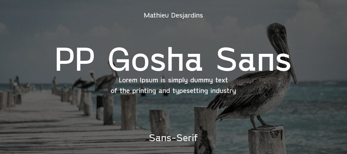 PP Gosha Sans Font Family