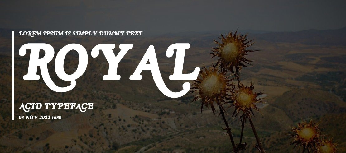 Royal Acid Font Family