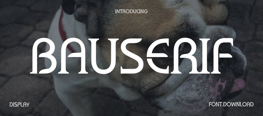 Bauserif Font