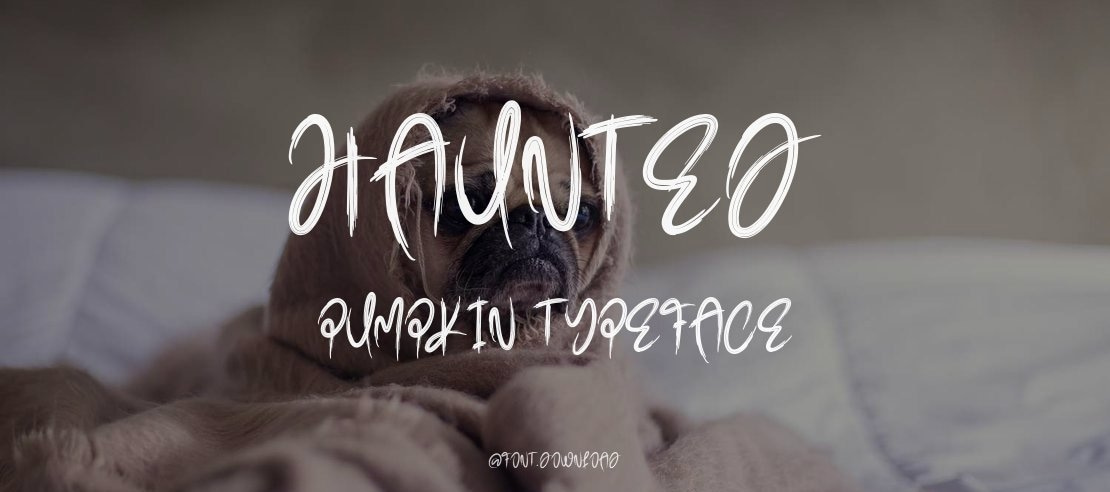Haunted Pumpkin Font